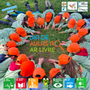 6 Dia Aulas Ar Livre